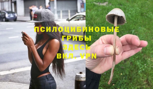 первитин Алексеевка