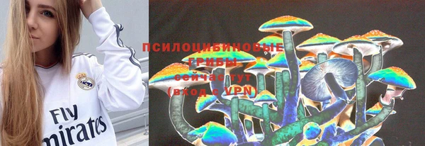 круглые Алзамай